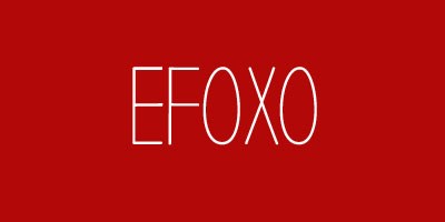 Brandable Domain Names: Logo Mockups