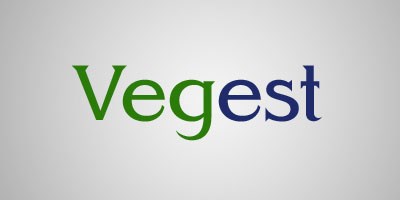 Brandable Domain Names: Logo Mockups